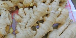 الزنجبيل و تكبير القضيب