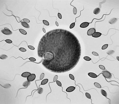 7 نصائح لعلاج العقم وزيادة عدد الحيوانات المنوية