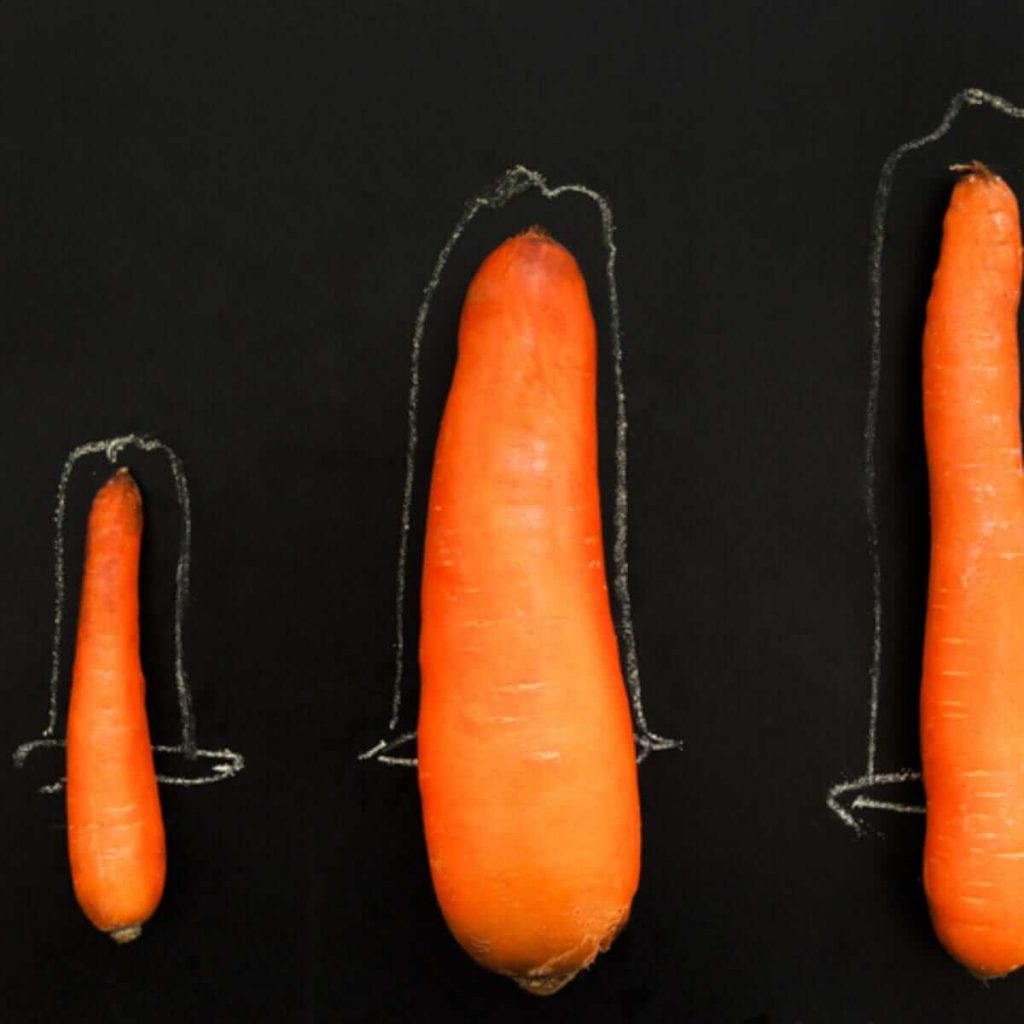 مقارنة أطوال القضيب