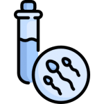 التلقيح الصناعي للحيوانات المنوية والبويضة