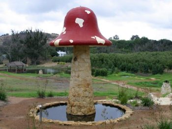 طريقة تكبير رأس القضيب